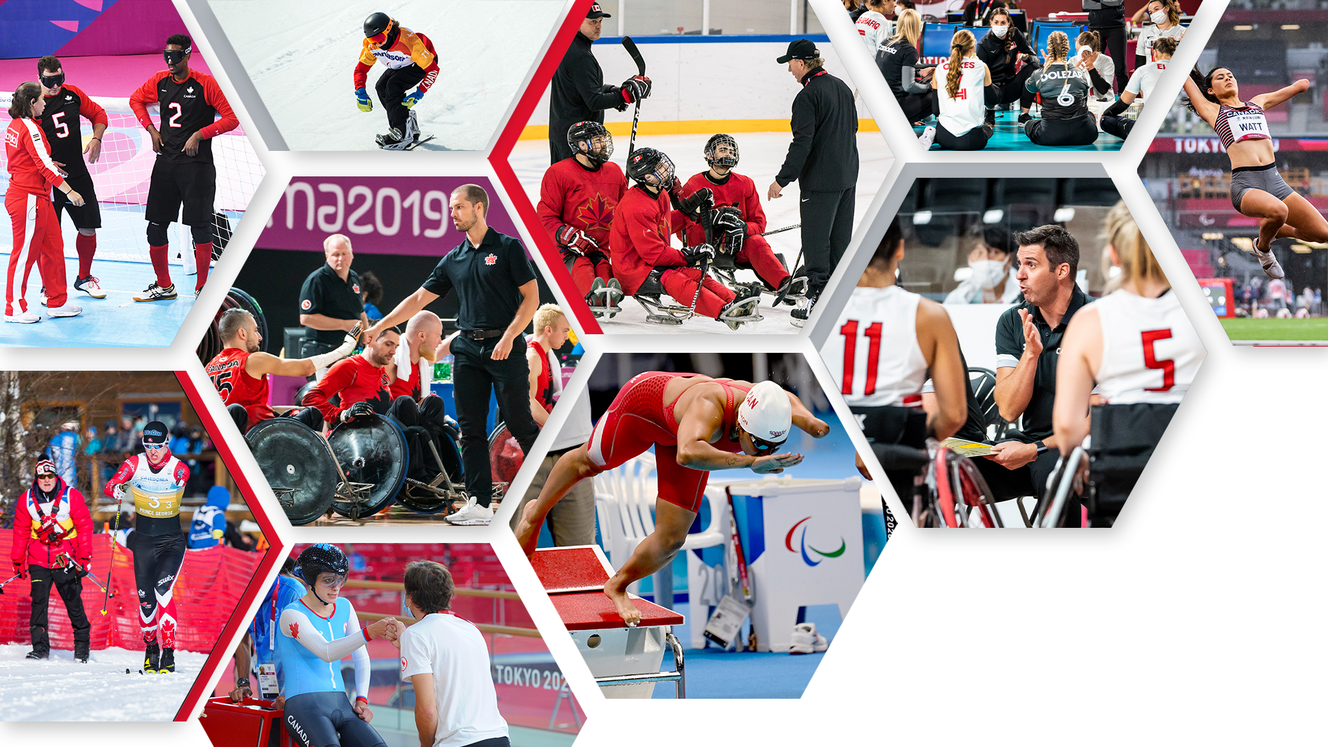 ten vibrant and colourful honeycomb shaped images displaying a variety of Paralympic sports